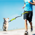 Pet Leashes Traction Rope Pet Leashes Traction Rope Running Belt Traction Rope Manufactory